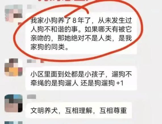 为什么家长总爱反问遛狗不拴绳反问家长怎么说女儿反问父母“你们都没上985/211，凭什么要求我考”