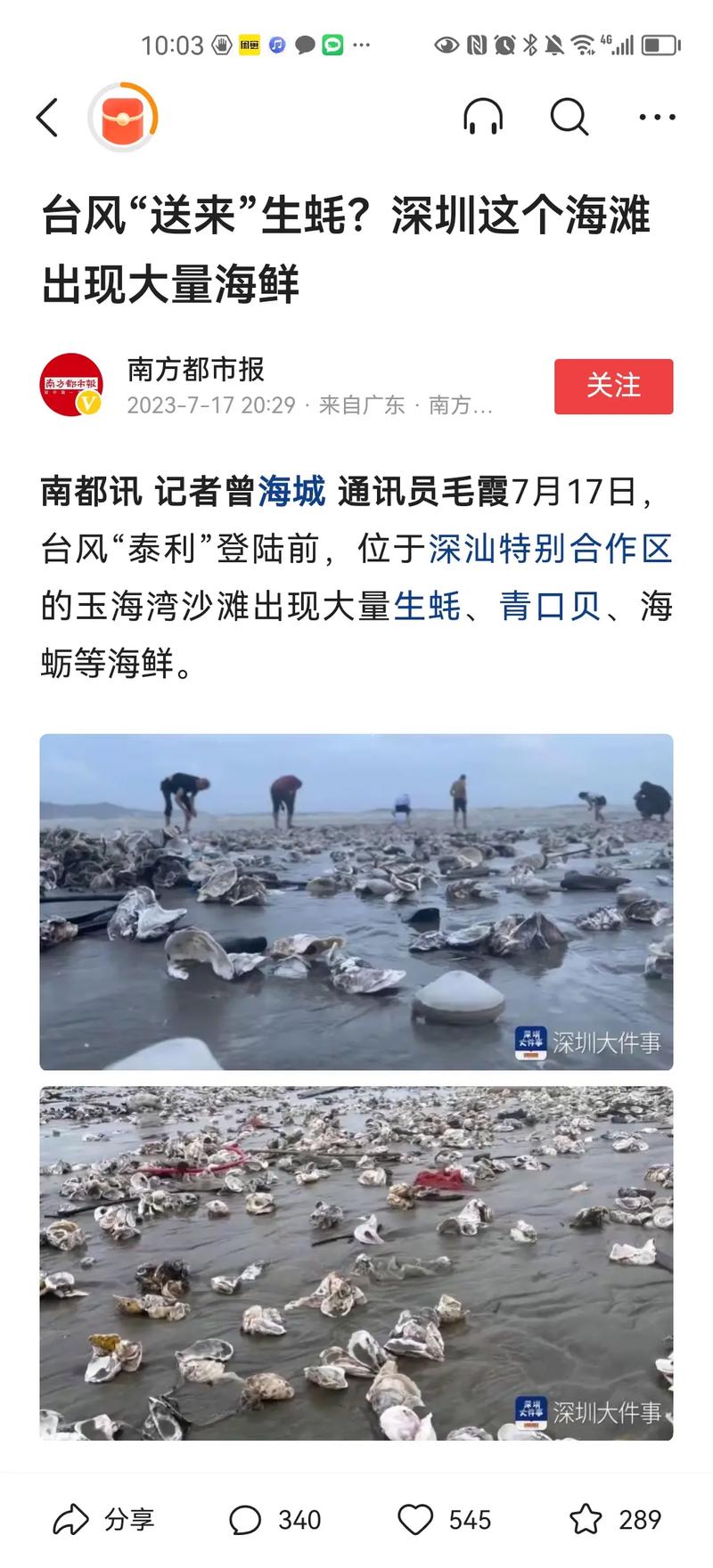 在福建泉州哪里可以看到海台风过后海滩上有没有海鲜汕尾海滩突现大量生蚝哪里来的