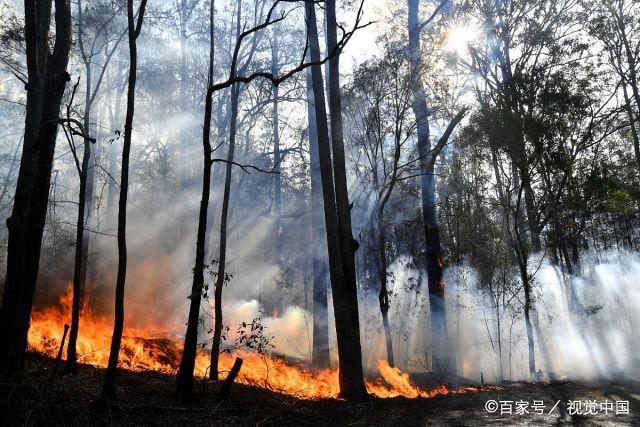 澳大利亚的山火澳政府为什么不提前抢救？这个国家以什么为先希腊的山火《道德经》上说“圣人不仁，以百姓为刍狗”，圣人果真不仁吗 保湿