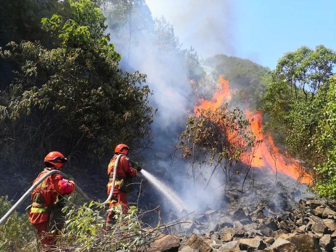 重庆大火，小车堵住了消防通道你怎么看重庆云阳发生山火事件重庆市云阳县修防火通，占地有吗 防晒霜