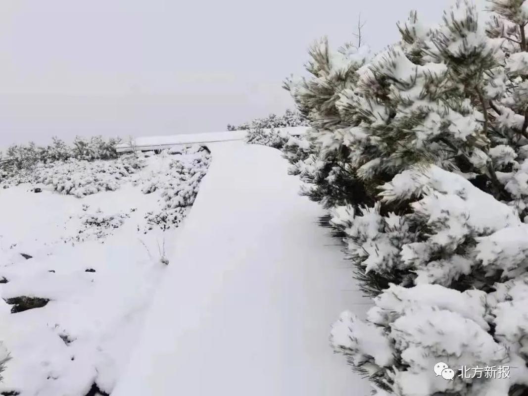 秋天会下雪吗为什么秋天也会下雪呢为什么喜欢过年时下雪 防晒霜