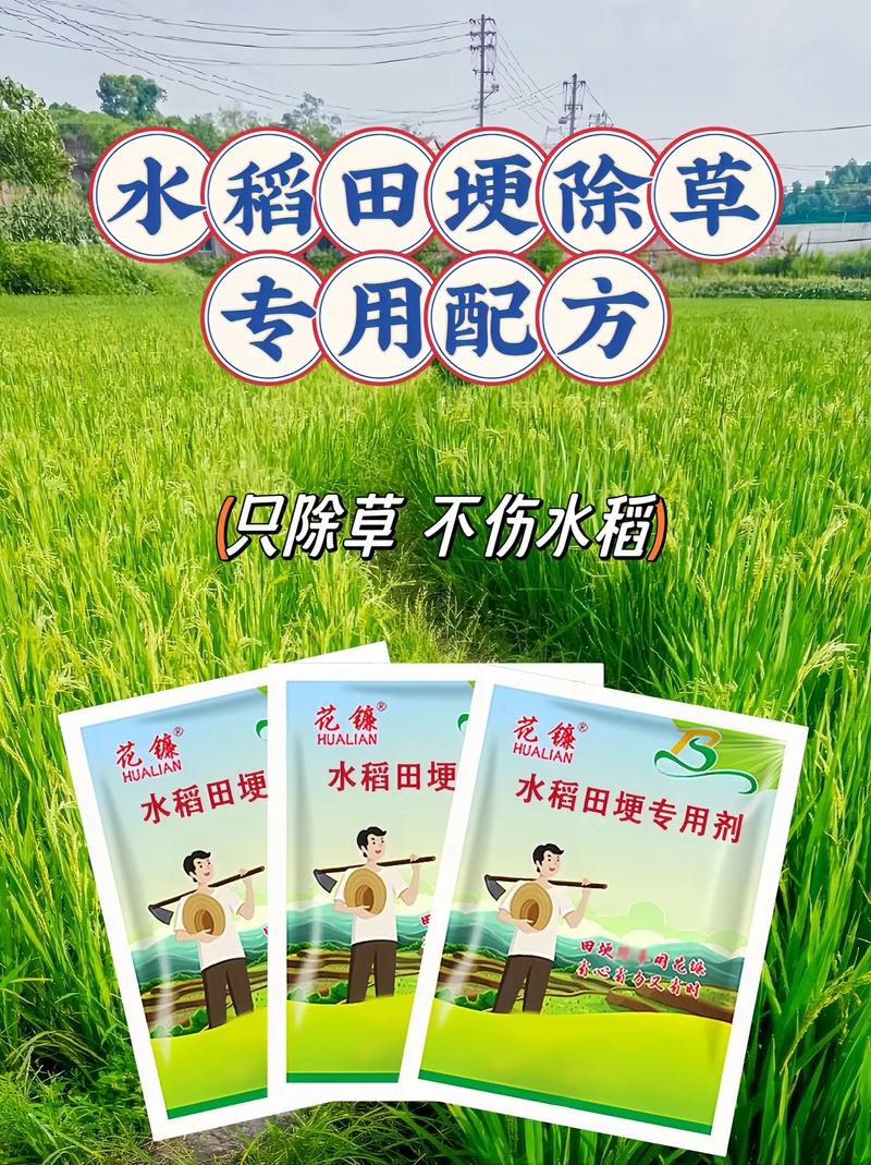 什么水稻不能吃此类谷子不能吃的原因水稻不能用什么除草剂 产品